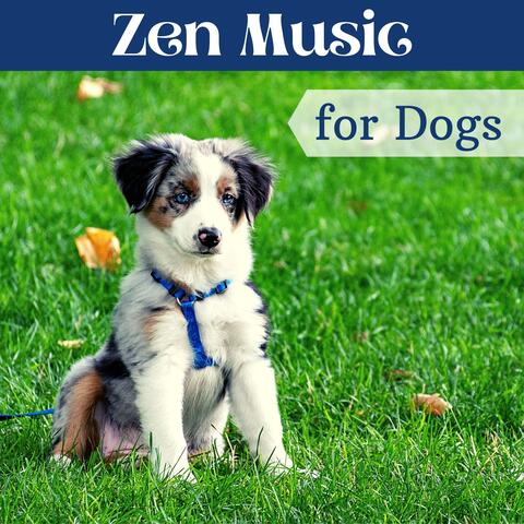 Zen Music for Dogs