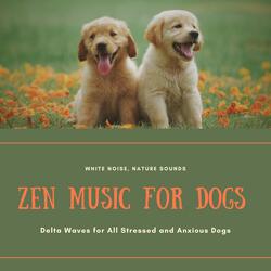 Delta Waves for All Stressed and Anxious Dogs