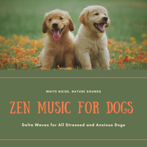 Zen Music for Dogs - White Noise, Nature Sounds, Delta Waves for All Stressed and Anxious Dogs