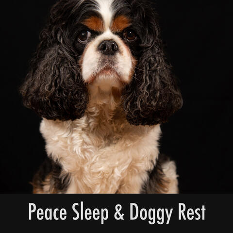 Peace, Sleep & Doggy Rest
