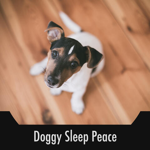 Doggy Sleep Peace
