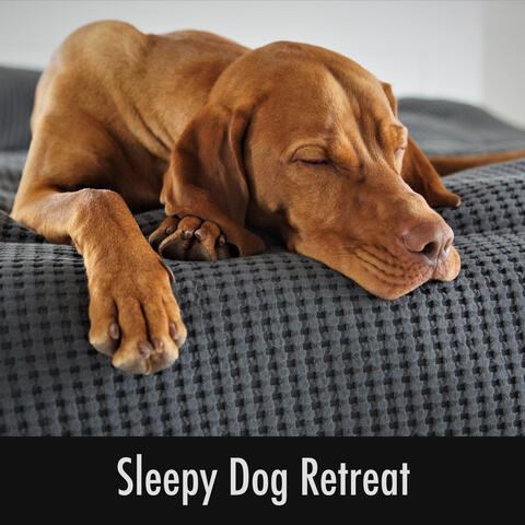 Sleepy Dog Retreat