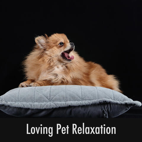 Loving Pet Relaxation