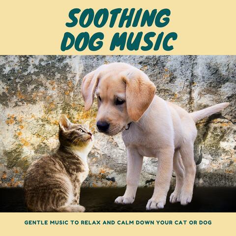 Soothing Dog Music - Gentle Music to Relax and Calm Down Your Cat or Dog