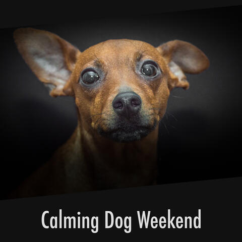 Calming Dog Weekend