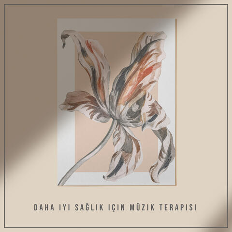 Daha Iyi Sağlık için Müzik Terapisi - Rahatlatıcı Zihin ve Beden, Doğa Sesleri, Terapötik Müzik, Rahatlatıcı Enstrümantal Müzik