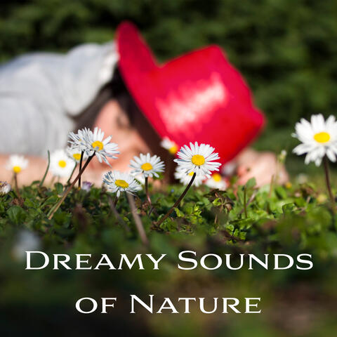 Dreamy Sounds of Nature: Music to Sleep, Soothing Melodies for Bedtime, Sleepy Birdsong, The Sound of Water to Fall Asleep