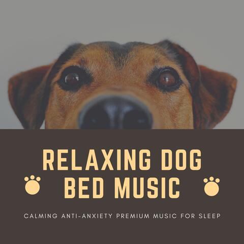 Relaxing Dog Bed Music - Calming Anti-Anxiety Premium Music for Sleep