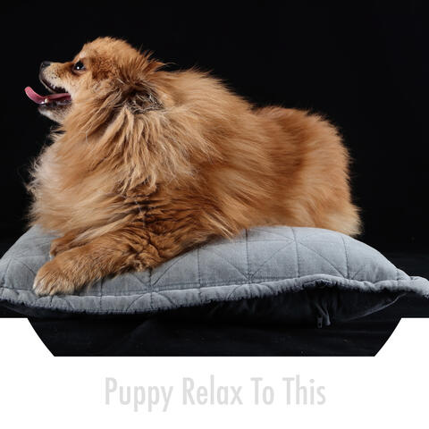 Puppy Relax To This