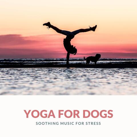 Yoga for Dogs - Soothing Music for Stress