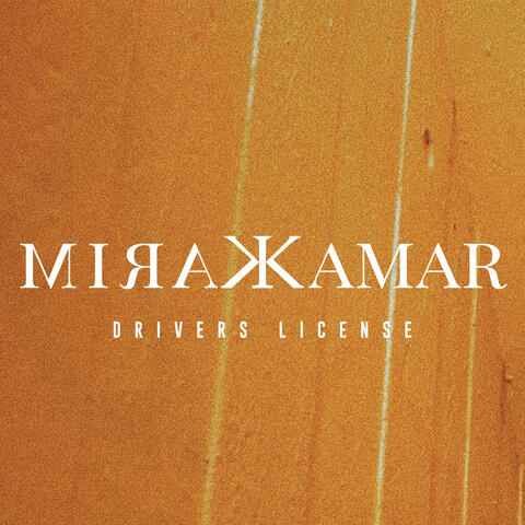 drivers license