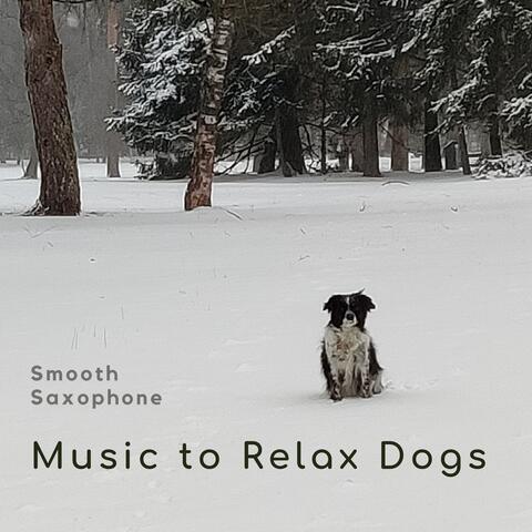 Music to Relax Dogs