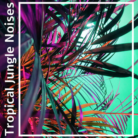 Tropical Jungle Noises – Ambient Nature and Animals Sounds Collection