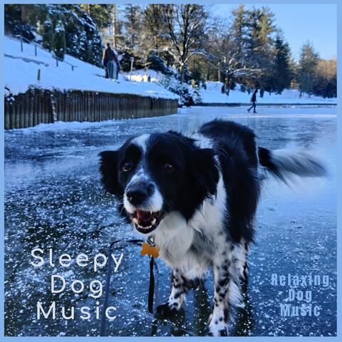 Relaxing Dog Music