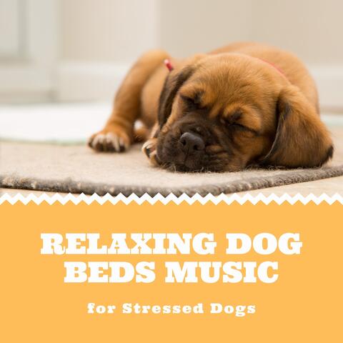 Relaxing Dog Beds Music for Stressed Dogs
