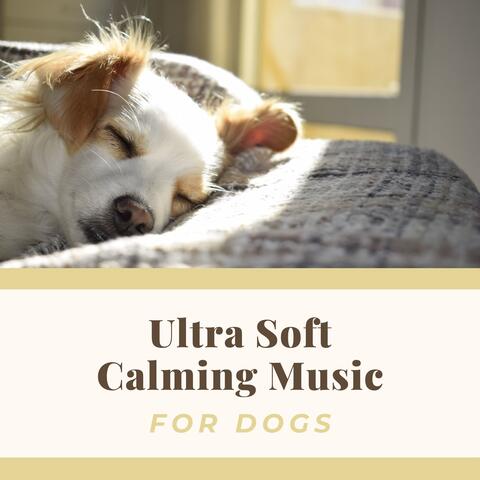 Ultra Soft Calming Music for Dogs