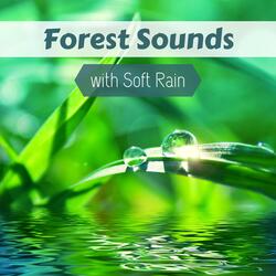 Nature Sounds for Deep Relaxation