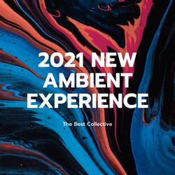 2021 New Ambient Experience
