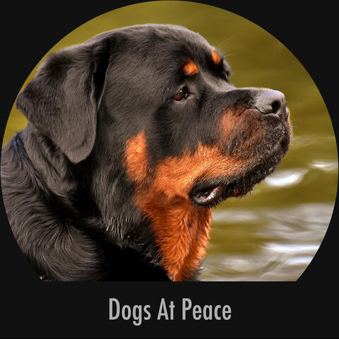 Dogs At Peace