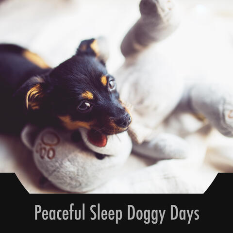 Peaceful Sleep Doggy Days