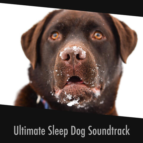 Ultimate Sleep Dog Soundtrack