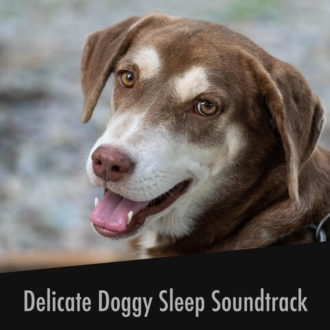 Delicate Doggy Sleep Soundtrack