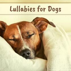 Music Therapy for Dogs