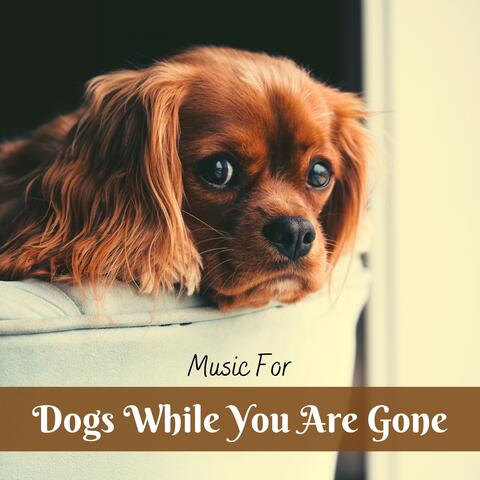 Music For Dogs While You Are Gone - Relaxing Music, Soothing Sounds of Nature