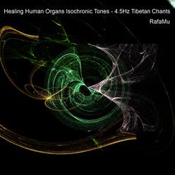 Healing Brain 315.8Hz