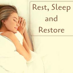 The Importance of a Good Rest