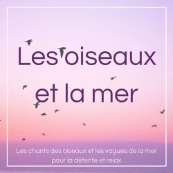 Cérémonie de guérison