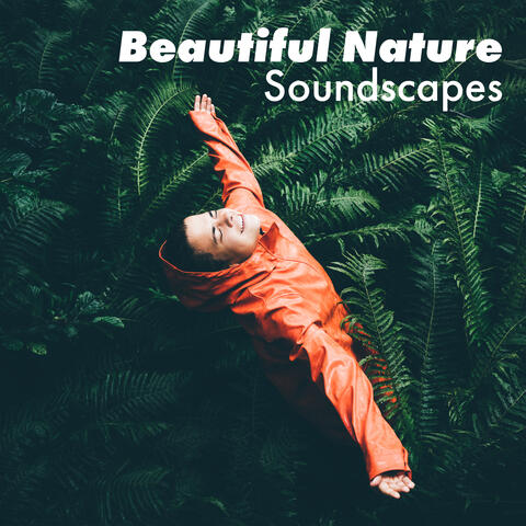 Beautiful Nature Soundscapes