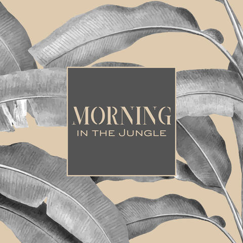 Morning in the Jungle – Peaceful and Soothing Natural New Age Music for Relaxation, Sleep, Meditation and Study