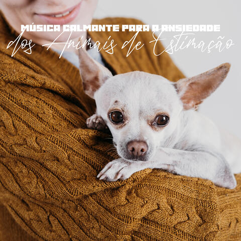 Música Calmante para a Ansiedade dos Animais de Estimação