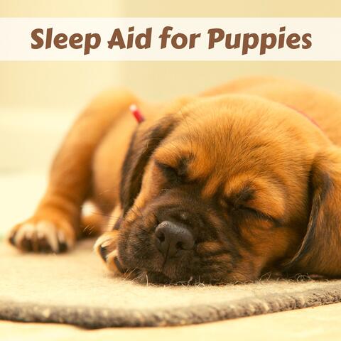 Sleep Aid for Puppies