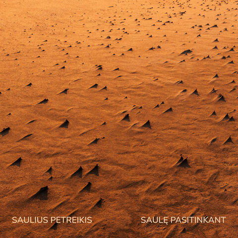Saulę Pasitinkant