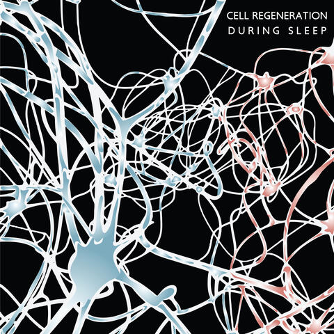 Cell Regeneration during Sleep: Tranquil Sounds for Most Healthy and Deep Sleep