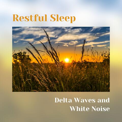 Restful Sleep - Delta Waves and White Noise