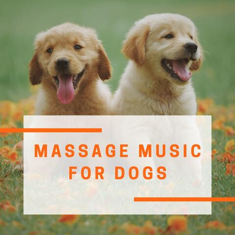 Massage Music for Dogs
