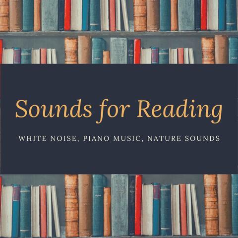 Sounds for Reading - White Noise, Piano Music, Nature Sounds
