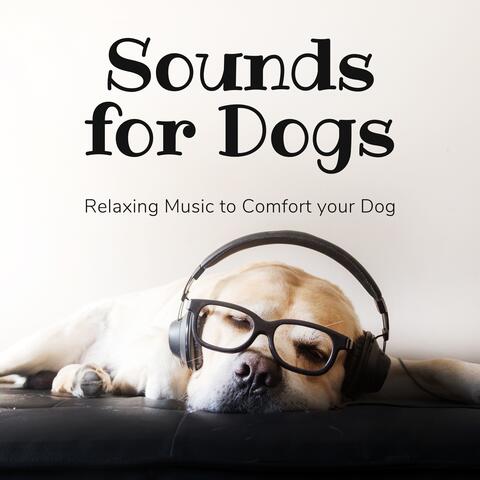 Sounds for Dogs - Relaxing Music to Comfort your Dog