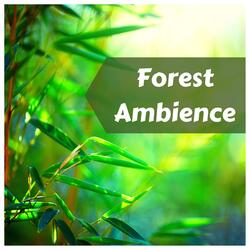 Falling Asleep Quickly