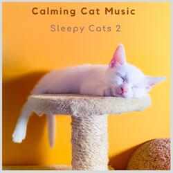 Sleepy Cat Music -14