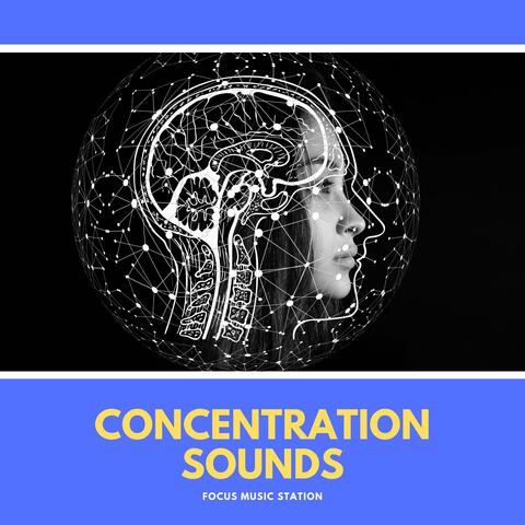 Concentration Sounds - Focus Music Station