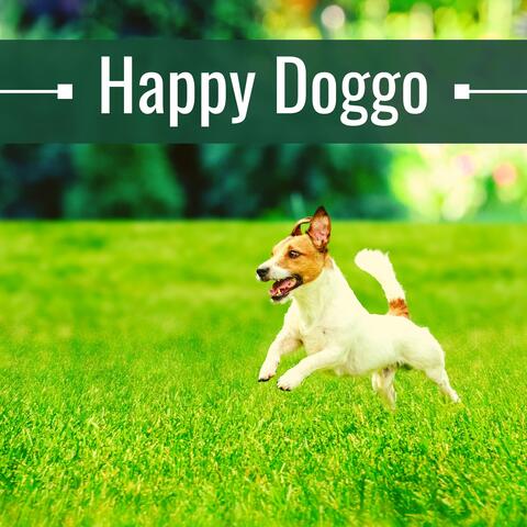 Happy Doggo – Soothing Music for Dogs, Calming Sounds for Your Pet