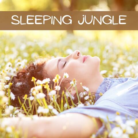 Sleeping Jungle – Sleeping Music with Jungle Sounds, Rainforest Ambience