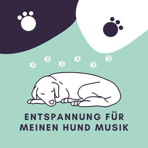 Entspannung für meinen Hund Musik
