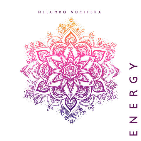 Nelumbo Nucifera Energy: Spirituality, Zen Garden, Chakra Flow
