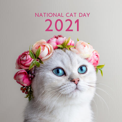 National Cat Day 2021