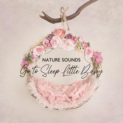 Nature Sounds for My Baby